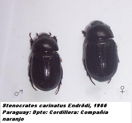 FIGURE 10 FIGURE 10